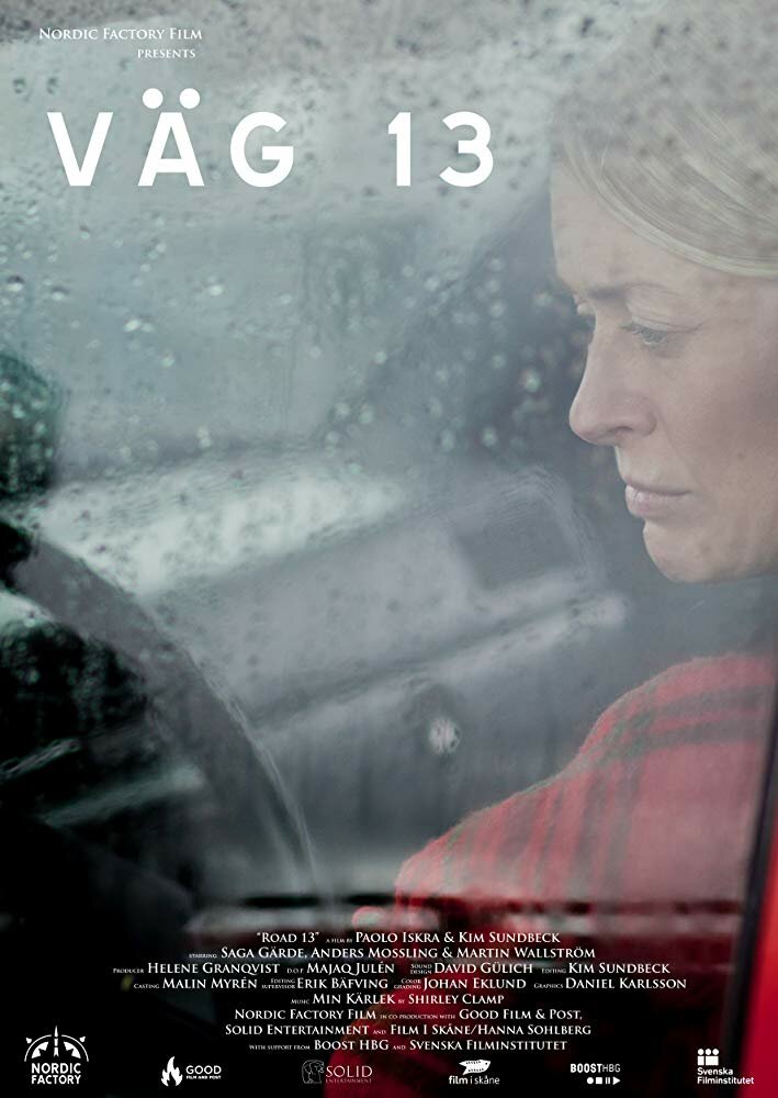 Väg 13 (2017)